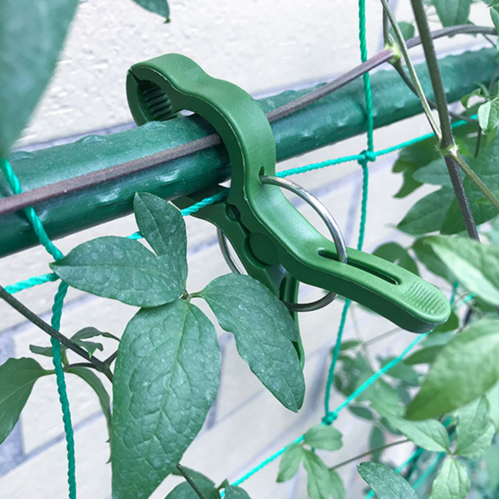 Vine Climbing Plastic - 60개 정원 식물 클립 플라스틱 식물