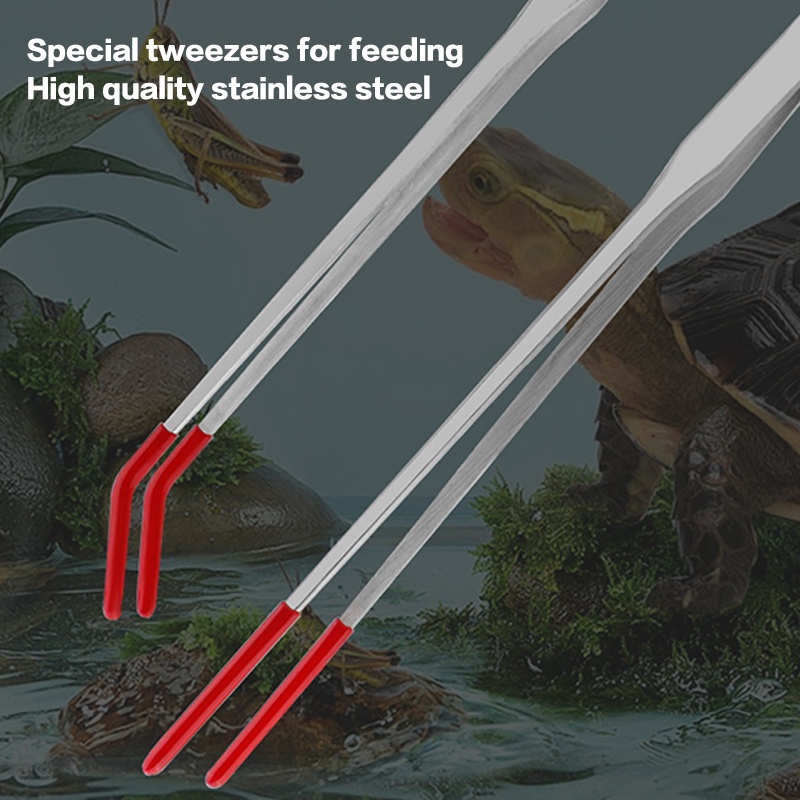 스테인리스 스틸 파충류 먹이 공급용 집게 (고무 팁 포 - Feeding Tong Stainless 리뷰 및 가격