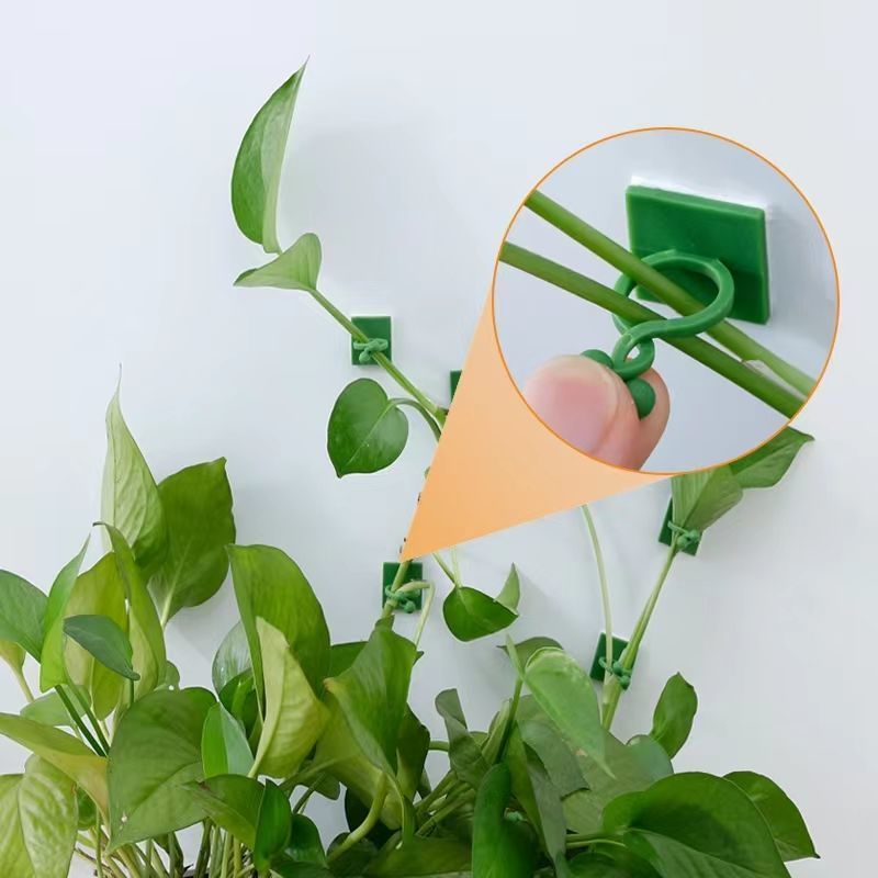 자가 접착식 식물 등반용 벽 고정 클립 덩굴 등나무 고 - Vine Climbing Plastic 리뷰 및 가격