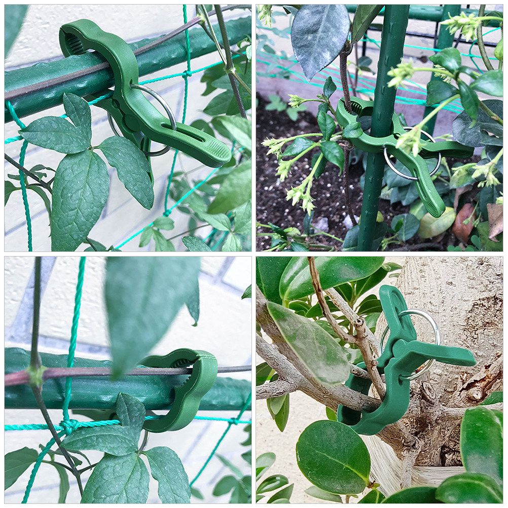 60개 정원 식물 클립 플라스틱 식물 지지대 클립 (토 - Vine Climbing Plastic 리뷰 및 가격
