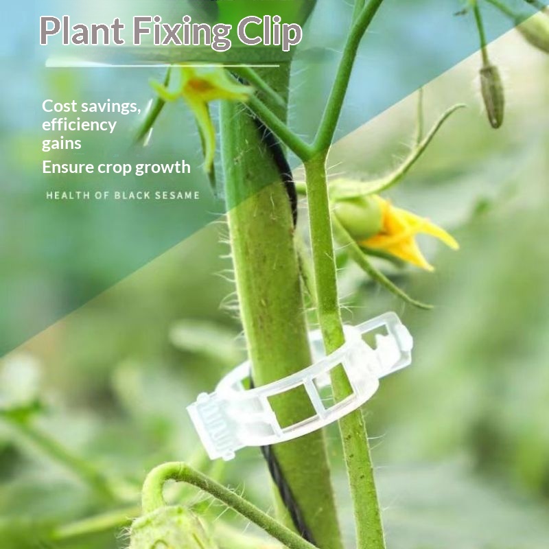 플라스틱 식물 지지 클립 재사용 가능한 덩굴 고정 클램 - Vine Climbing Plastic 리뷰 및 가격